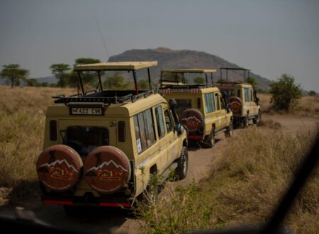 World's Most 4 Days Serengeti Plains Wildlife Safari – Ultimate Big Five Adventure in 4 Powerful Days