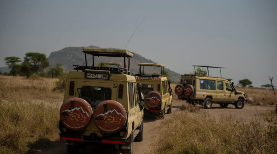 Tanzania Festivals and Holidays Explained