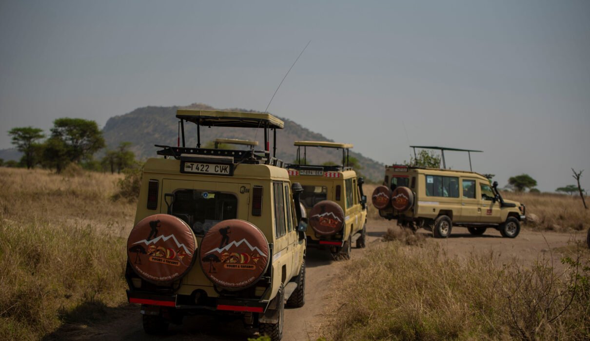 7 Fascinating Facts About Africa