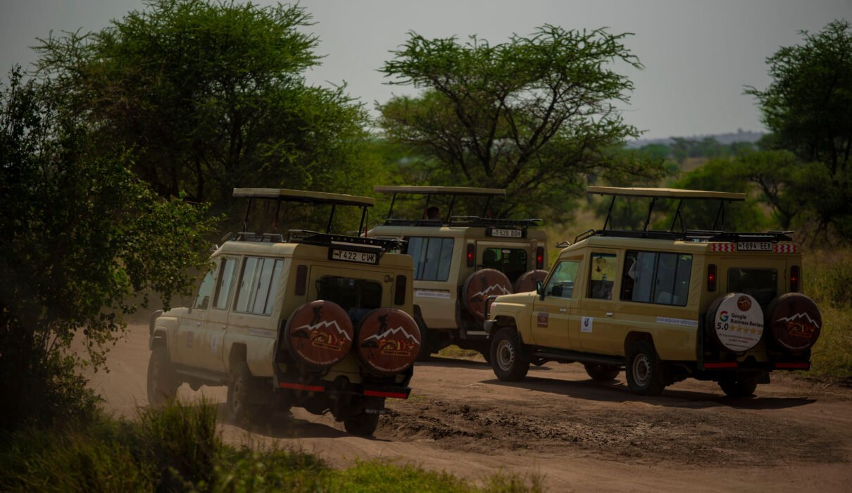 AFCON Tanzania Match & Safari Experience