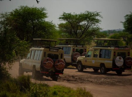Top 20 Tanzania Safari Companies & Tour