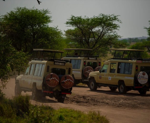 Top 20 Tanzania Safari Companies & Tour