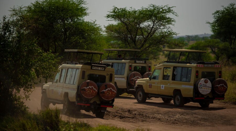 Top 20 Tanzania Safari Companies & Tour