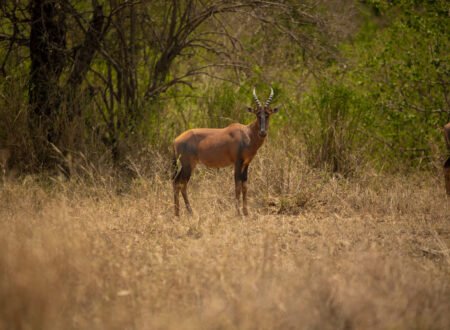 Best National Parks in the World