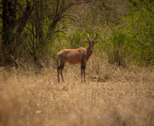 Best National Parks in the World