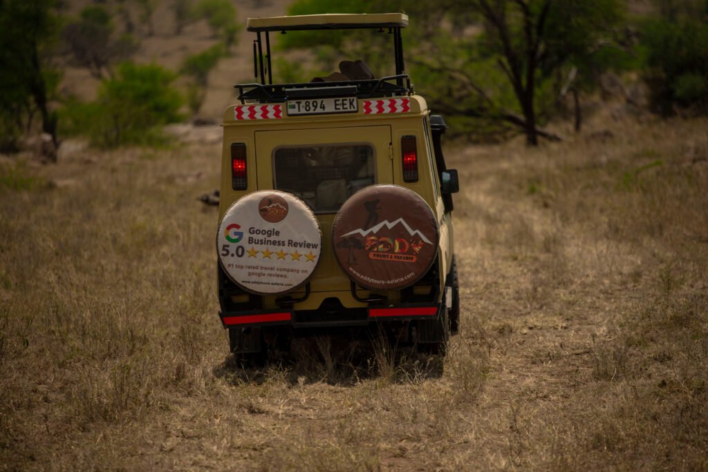 8 Days Southern Tanzania River & Wilderness Safari – 9 Powerful Reasons This Remote Journey Truly Matters