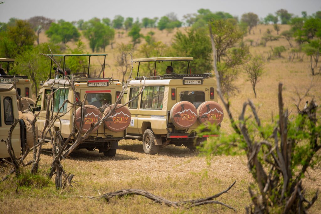 10 Best Tanzania Tour Companies & Operators – 10 Powerful Signs of a Truly Trusted Safari Company