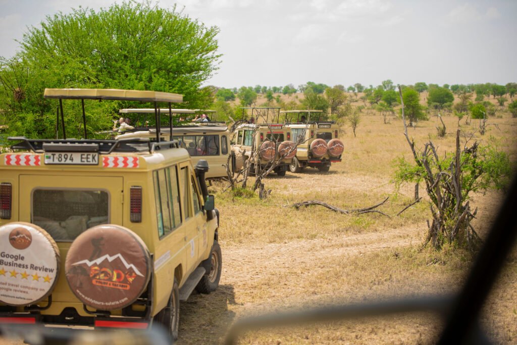 Most Populated Countries in Africa