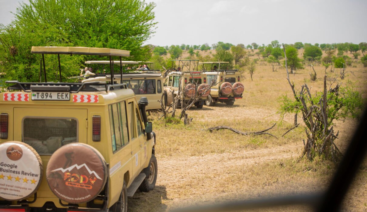 Most Populated Countries in Africa