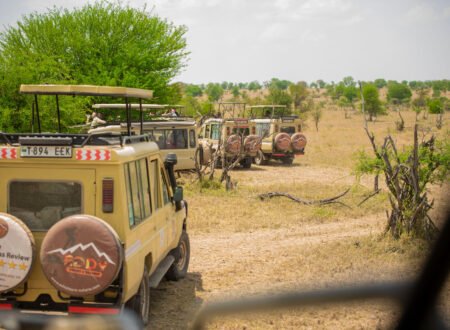 Most Populated Countries in Africa