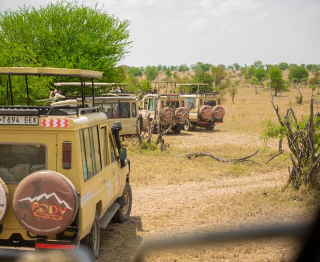 Most Populated Countries in Africa