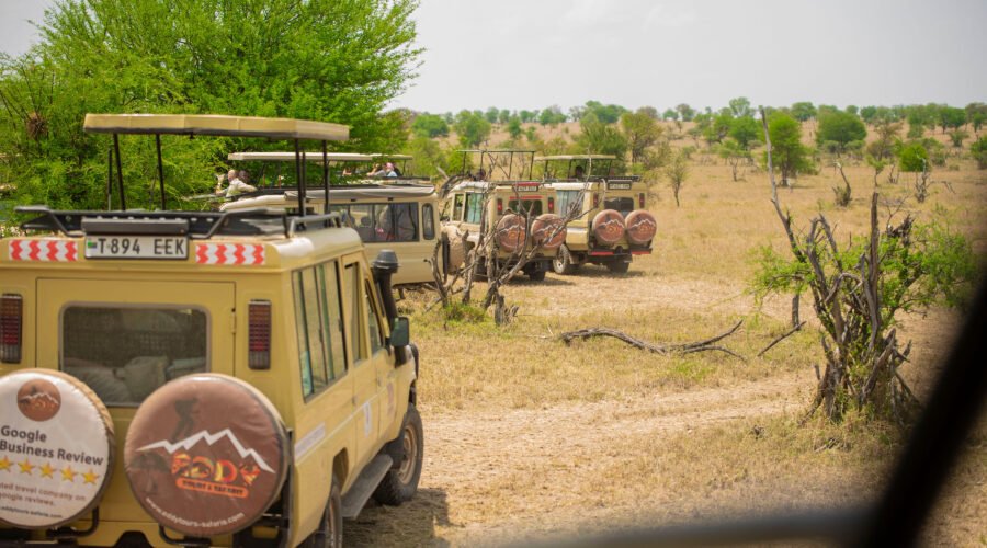 Most Populated Countries in Africa