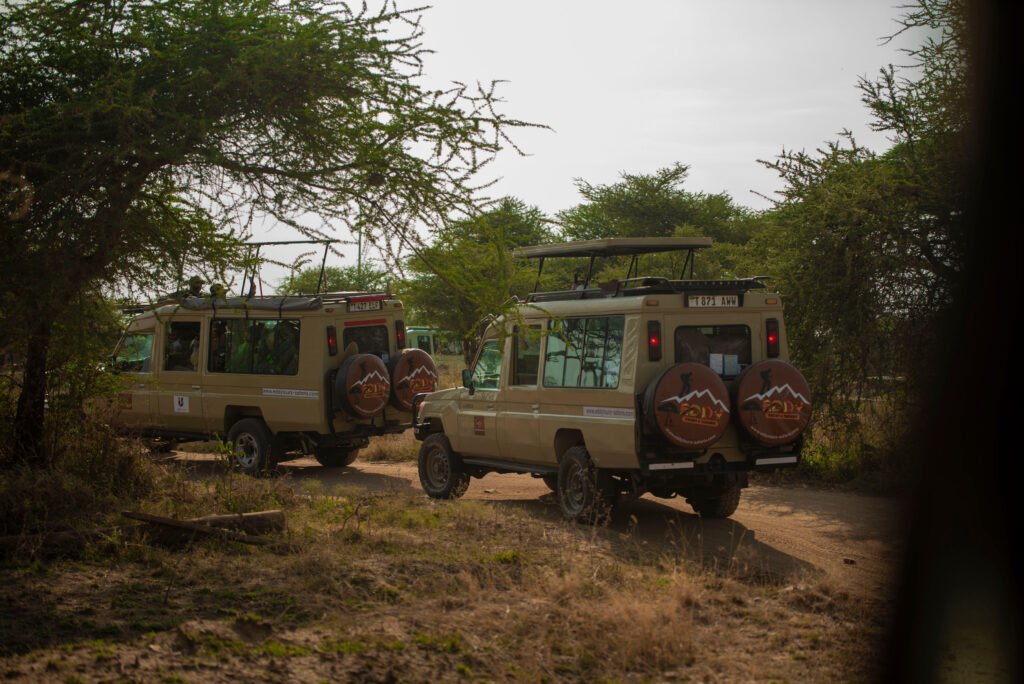 Swahili Phrases Every Traveler Should Know – 15 Powerful Words That Instantly Build Respect