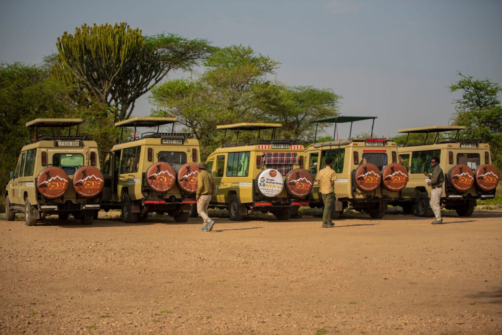 坦桑尼亚野生动物之旅 – 7个热门组合 | 7大震撼精选行程带你探索非洲奇迹