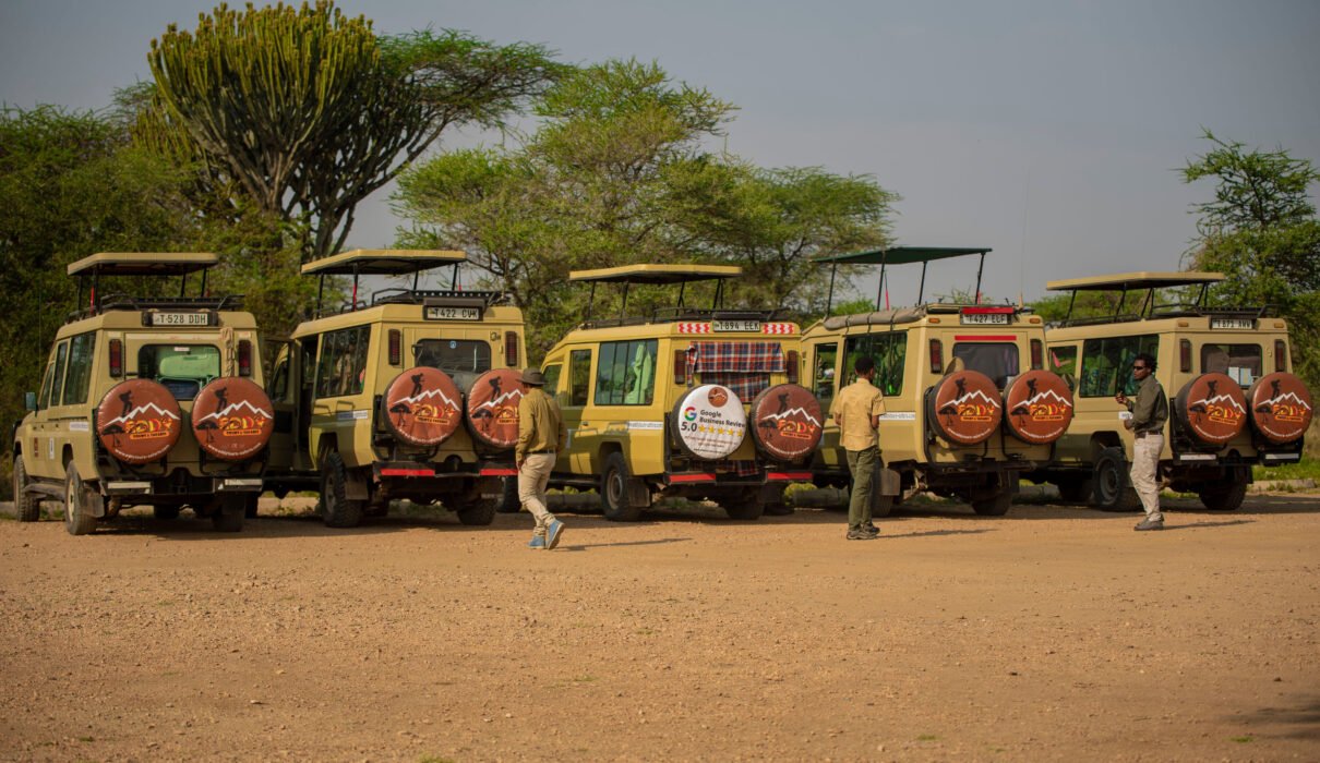 坦桑尼亚野生动物之旅 – 7个热门组合：一次震撼心灵的非洲自然盛宴