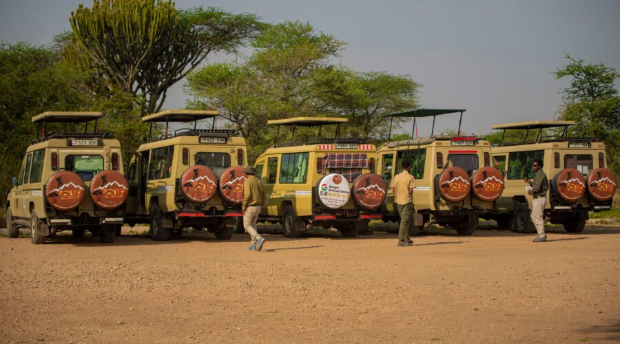 坦桑尼亚野生动物之旅 – 7个热门组合：一次震撼心灵的非洲自然盛宴