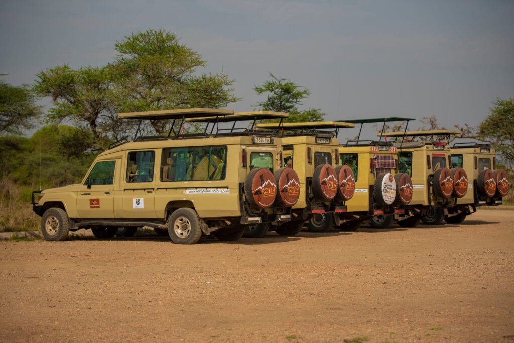坦桑尼亚野生动物之旅 – 7个热门组合 | 7大震撼精选行程带你探索非洲奇迹
