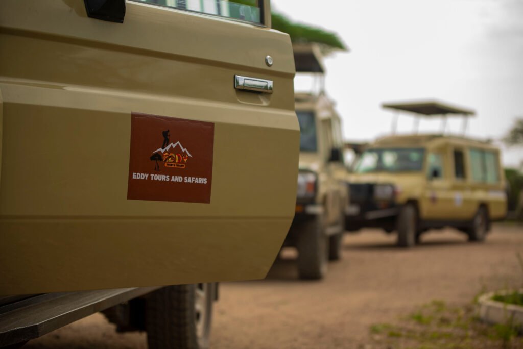 Tanzania’s Lesser-Known National Parks – Powerful 7 Hidden Safari Gems You Will Truly Love