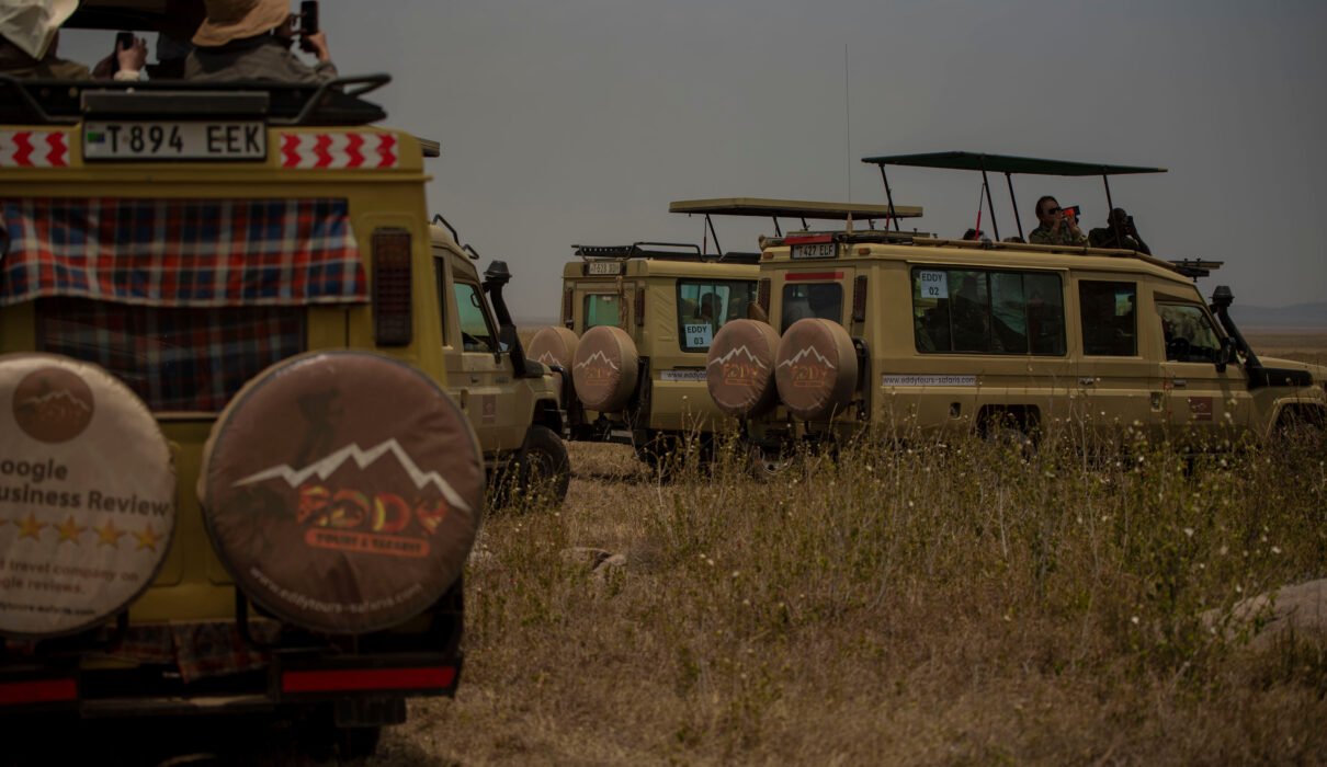 7 Days Tanzania Safari Domination – Powerful 7-Day Adventure to Own the Savannah