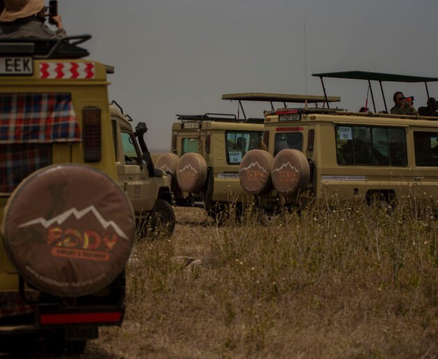 7 Days Tanzania Safari Domination – Powerful 7-Day Adventure to Own the Savannah