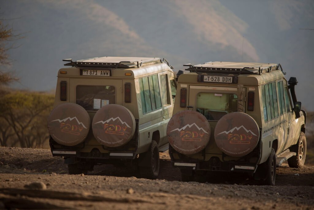 Tracking Leopards in Tanzania’s Remote Parks – 7 Powerful Secrets Behind Truly Rare Sightings