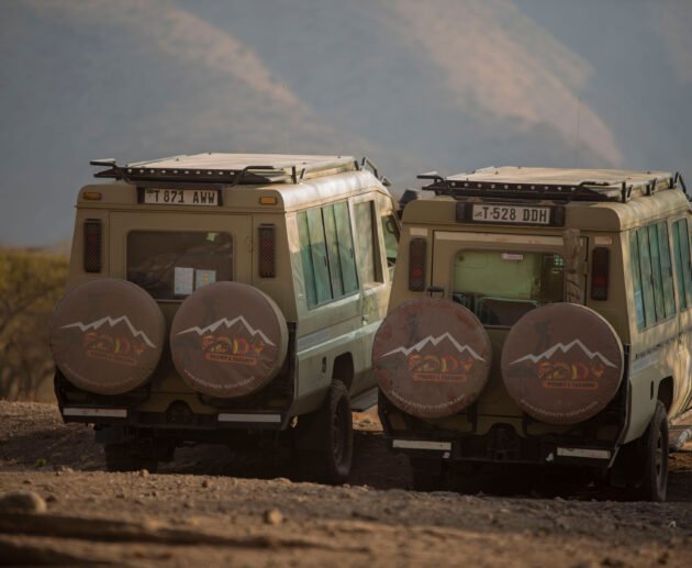 Tracking Leopards in Tanzania’s Remote Parks