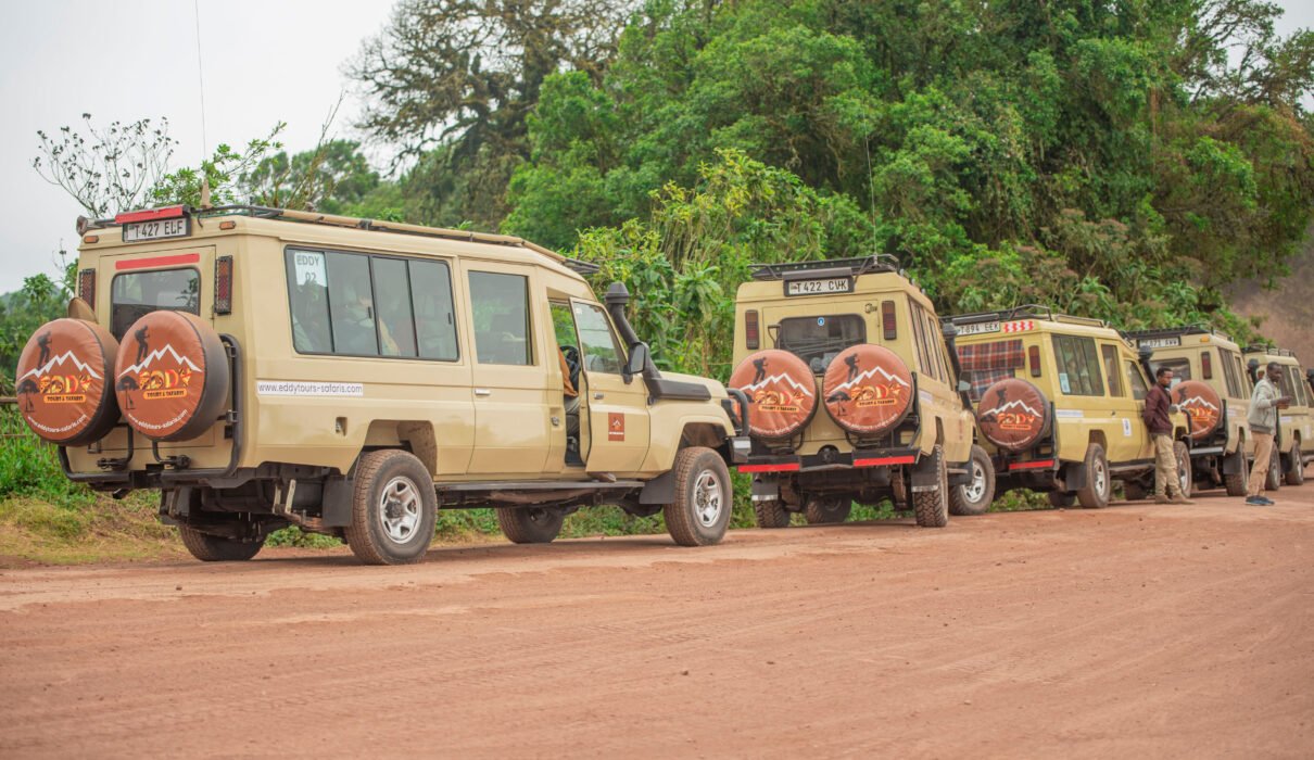 坦桑尼亚登山加野生动物团 – 5个经典路线