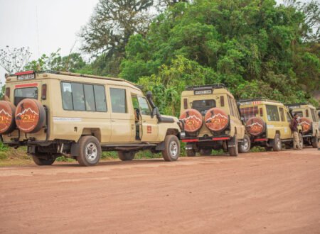坦桑尼亚登山加野生动物团 – 5个经典路线