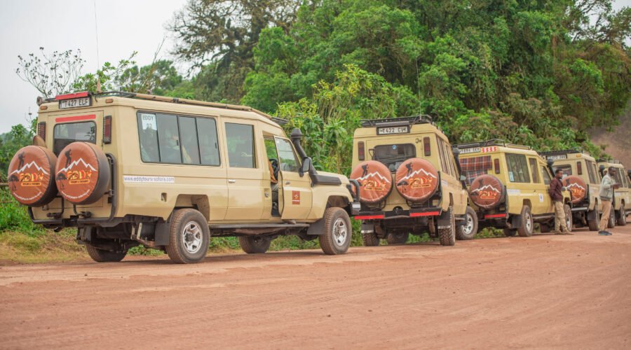 坦桑尼亚登山加野生动物团 – 5个经典路线