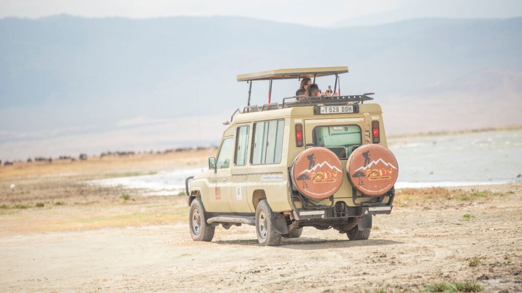 5 Days Tanzania Safari Power Move – Travel Smarter, See More: The Ultimate Big Game Breakthrough