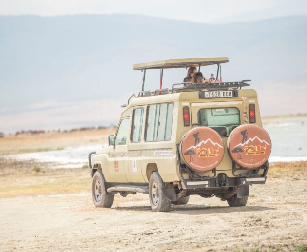 5 Days Tanzania Safari Power Move – Travel Smarter, See More: The Ultimate Big Game Breakthrough