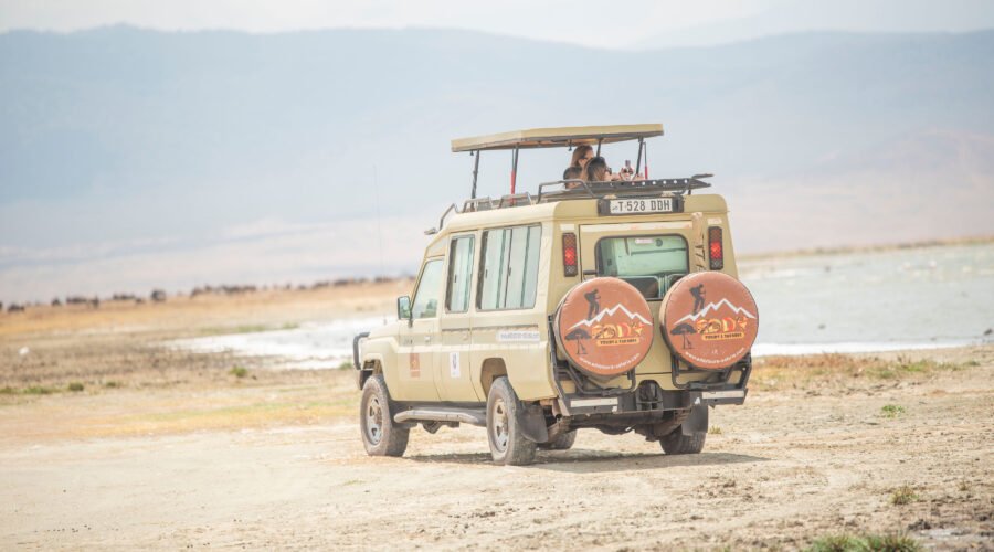 5 Days Tanzania Safari Power Move – Travel Smarter, See More: The Ultimate Big Game Breakthrough