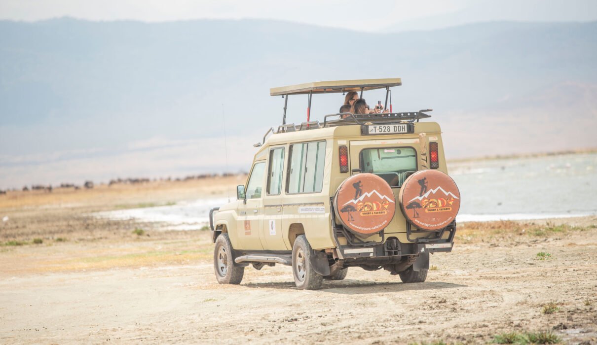 6 Days Elite Serengeti Safari: Ultimate Luxury Escape with 5-Star Comfort