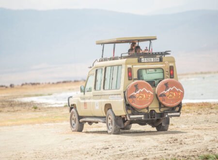 6 Days Elite Serengeti Safari: Ultimate Luxury Escape with 5-Star Comfort