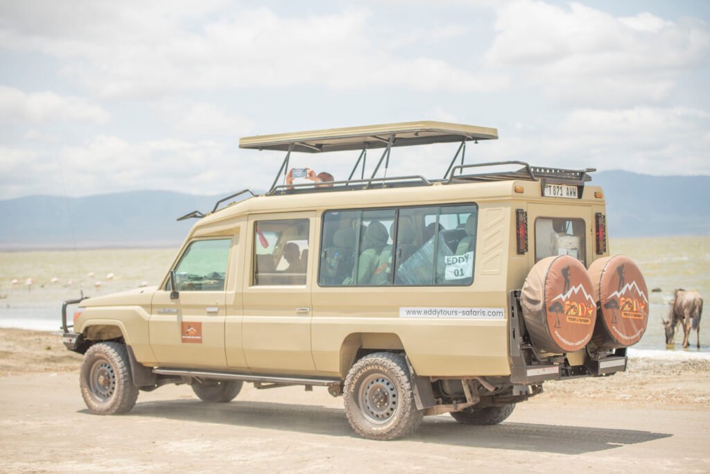 6 Days Elite Serengeti Safari: Ultimate Luxury Escape with 5-Star Comfort