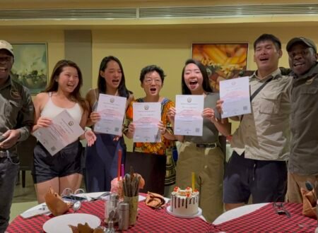 Kilimandscharo Beste Route – 7 Starke Wege zum Gipfel