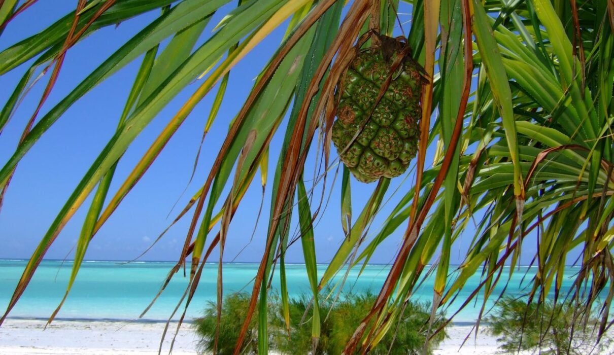 5 Days Zanzibar Honeymoon & Beach Holiday