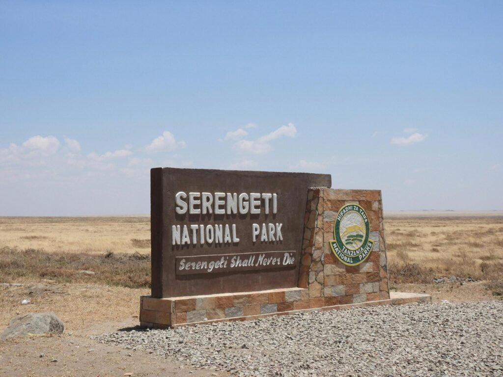 4 Days Serengeti Safari – Central Serengeti Wildlife Experience | 9 Powerful Reasons to Choose This Trip