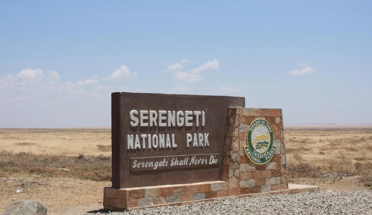 4 Days Serengeti Safari – Central Serengeti