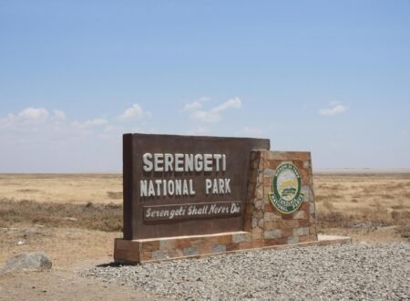 4 Days Serengeti Safari – Central Serengeti