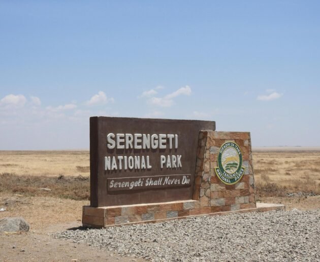 4 Days Serengeti Safari – Central Serengeti