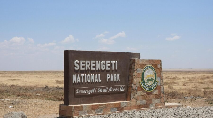 4 Days Serengeti Safari – Central Serengeti