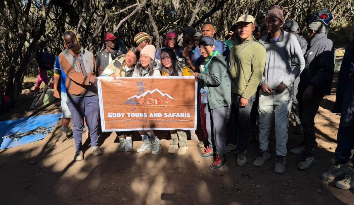 8 Days Kilimanjaro Expert-Led Summit Expedition