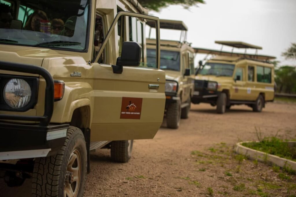 The Today's Updates to Our Best Kenya Tours – 7 Powerful Changes You Cannot Miss