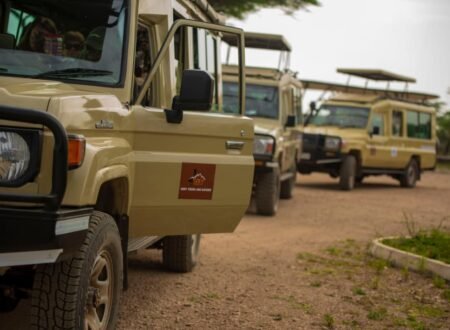 Safari Vehicles We Use: Comfort and Safety