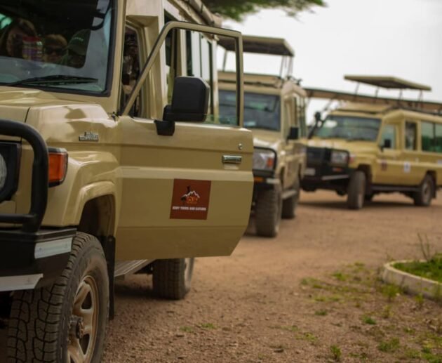 Safari Vehicles We Use: Comfort and Safety