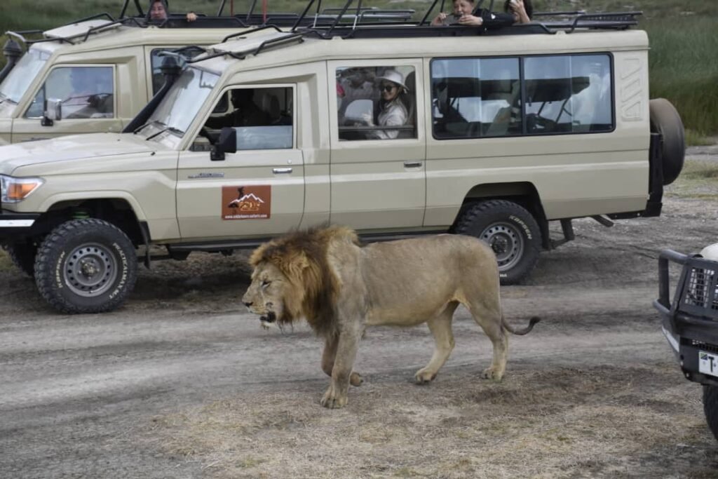 Weird and Wonderful Animals of Tanzania – Powerful 9 Mind-Blowing Creatures You Must Discover