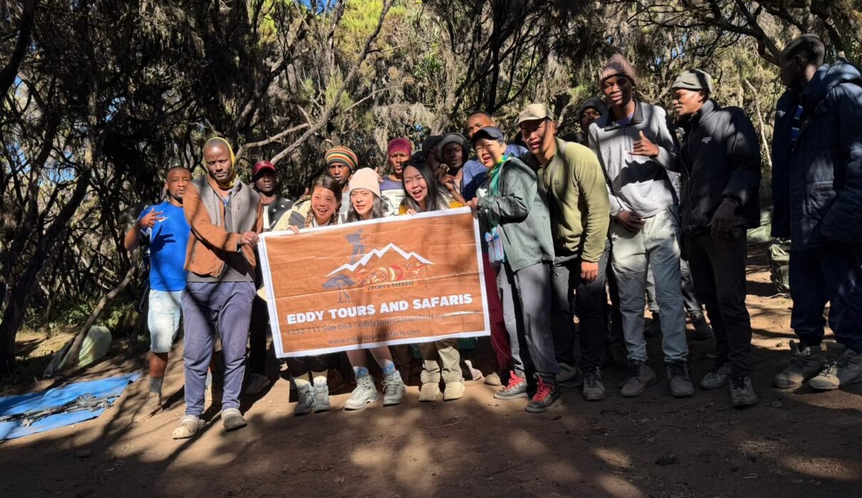8 Days Lemosho Route – Ultimate Scenic Kilimanjaro Expedition