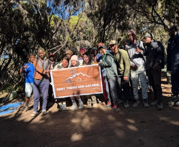 7 Days Kilimanjaro Most Popular Summit Route Package