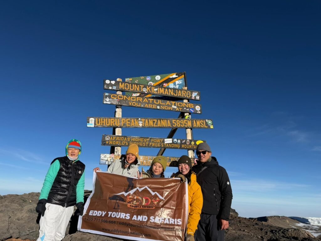 Top Kilimanjaro Ascent Program – 8-Day Elite Climbing Strategy Top Kilimanjaro Ascent Program – 8-Day Elite Climbing Strategy